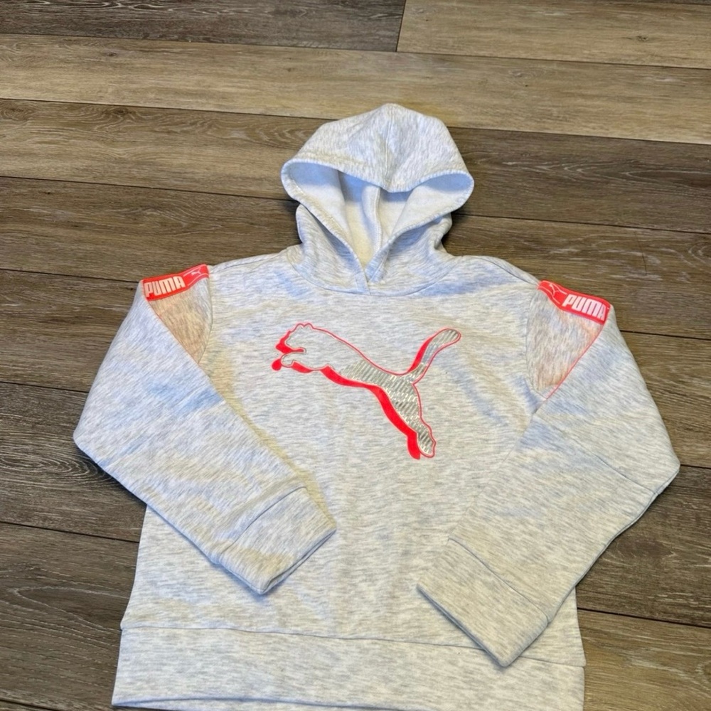 Puma Light Gray Hooded Sweatshirt